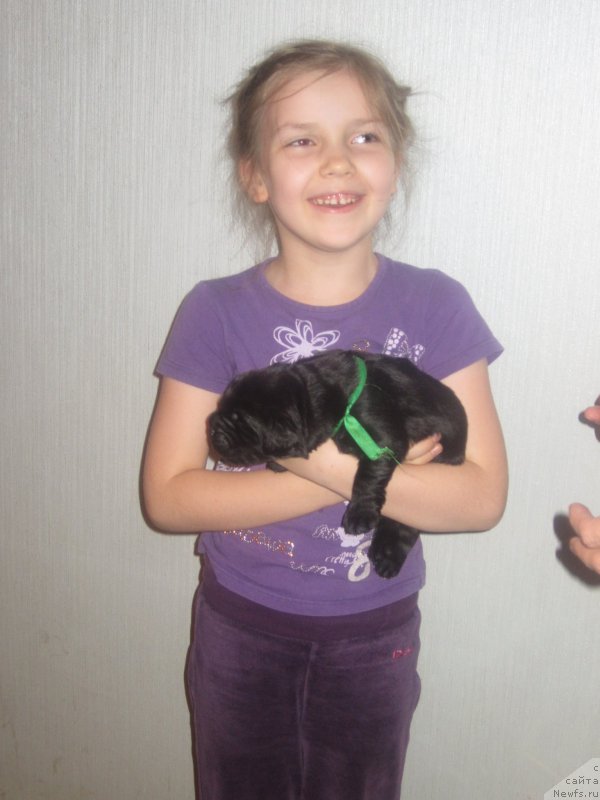 Фото: Natal'ya Smazchikova (Наталья Смазчикова)