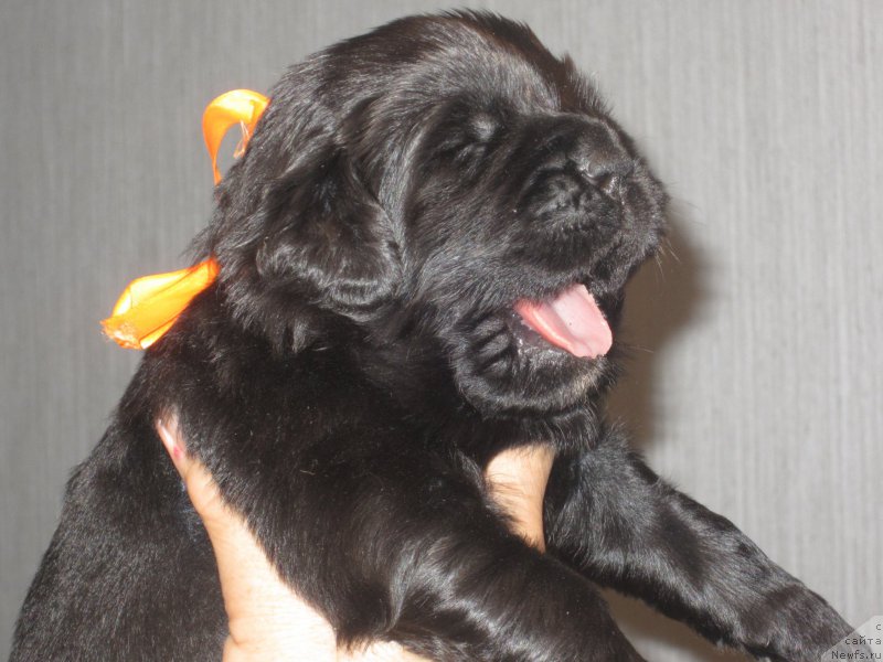 Фото: Natal'ya Smazchikova (Наталья Смазчикова)