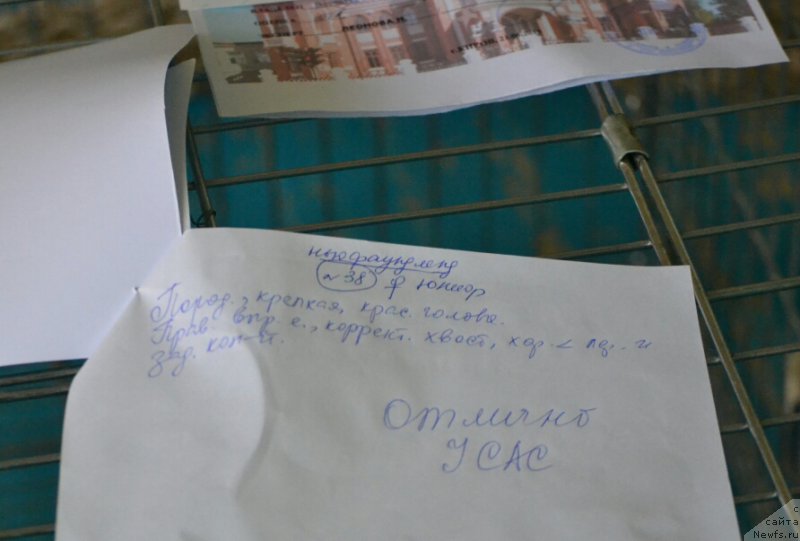 Фотография № 184942