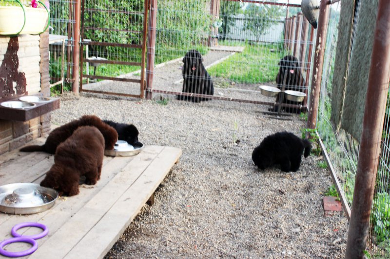 Фотография № 184954