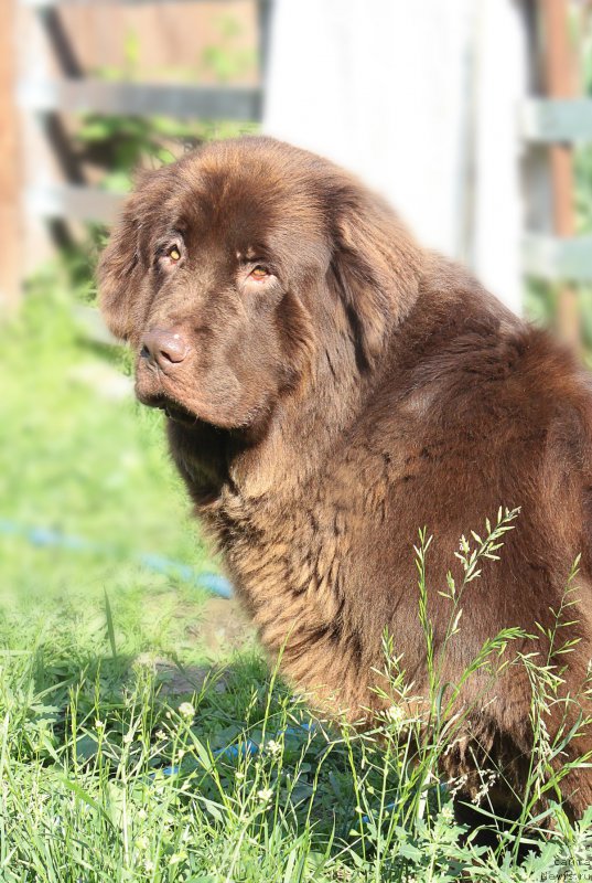 Фотография № 184961