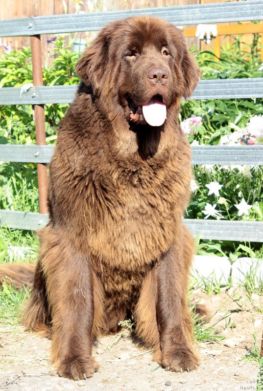 Фотография № 184962