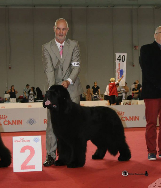 Фотография № 184964