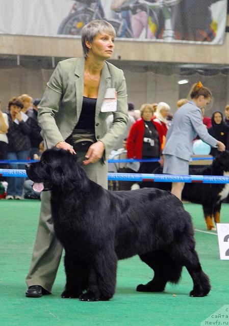 Фотография № 18497