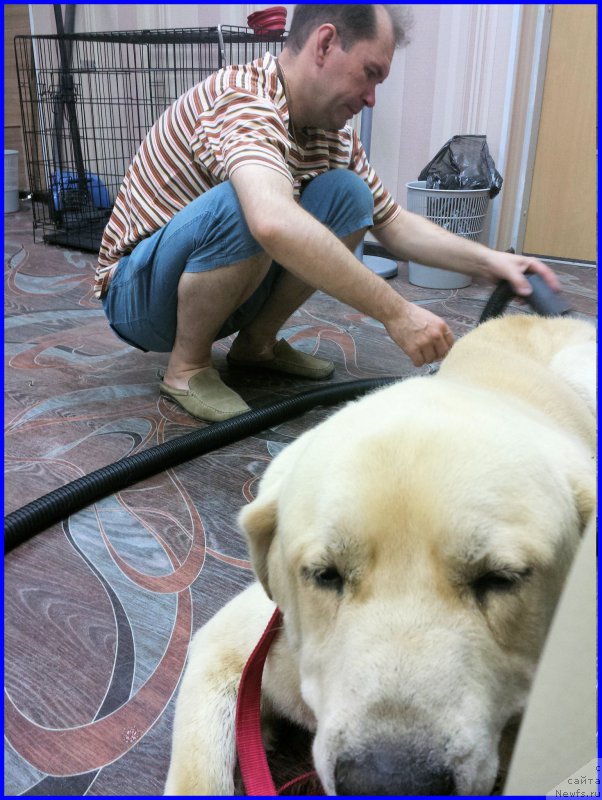 Фотография № 184979