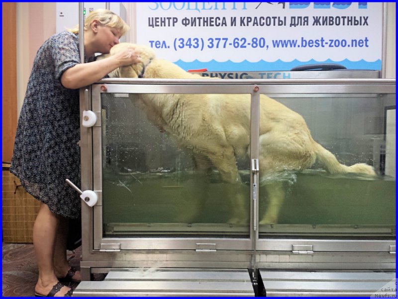 Фотография № 184981