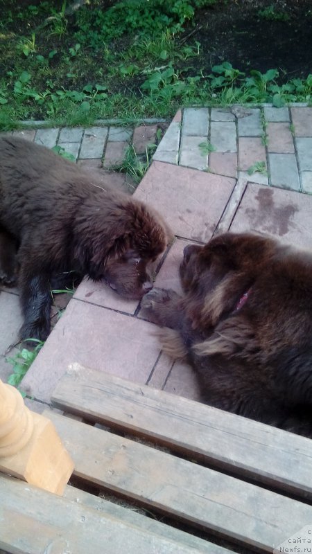 Фотография № 185000