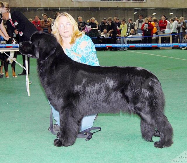 Фотография № 18501