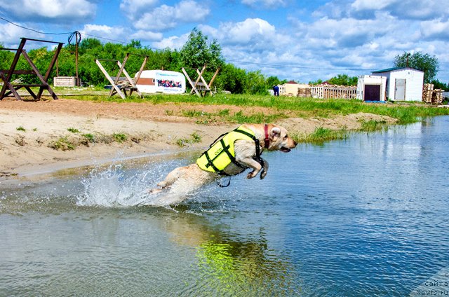 Фото: Челси
