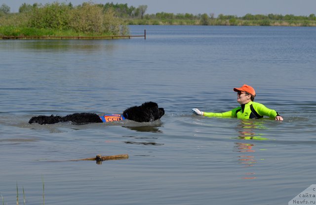 Фото: Бароша