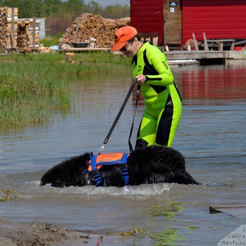 Фото: Бароша