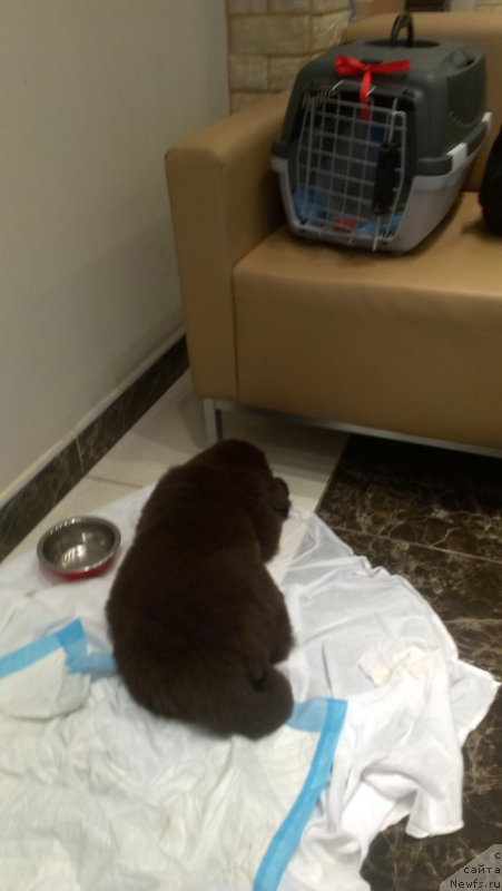 Фотография № 185047