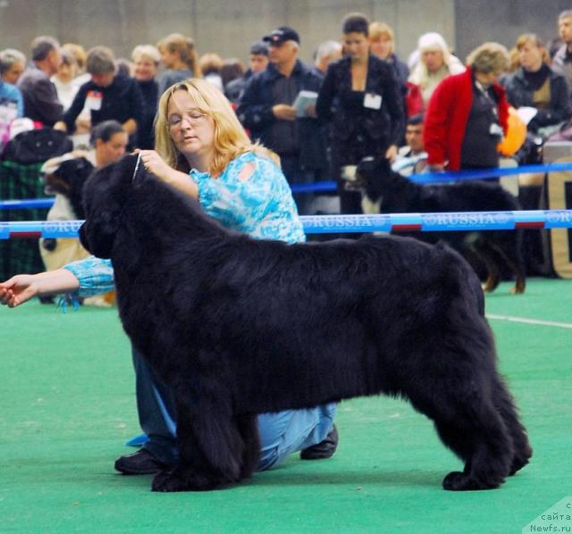 Фотография № 18505