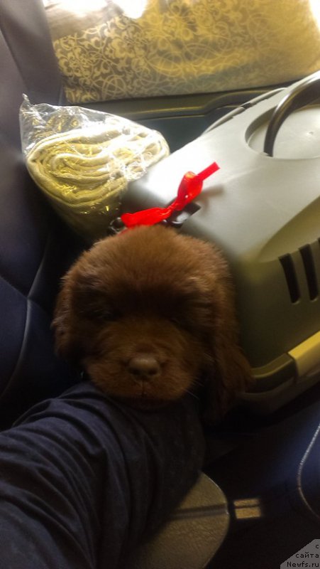 Фотография № 185051