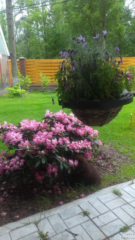 Фотография № 185054