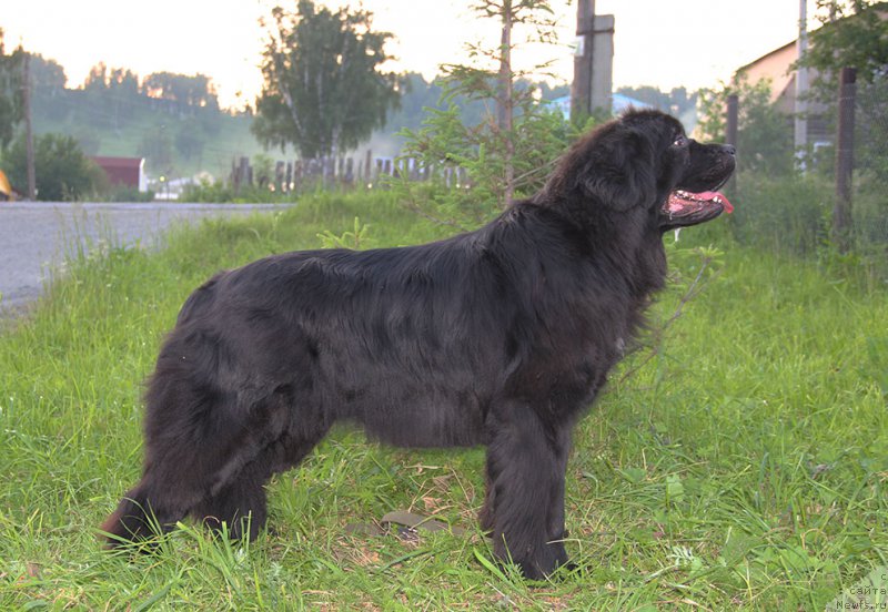 Фотография № 185074