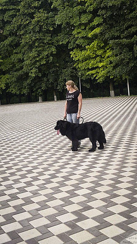 Фотография № 185076