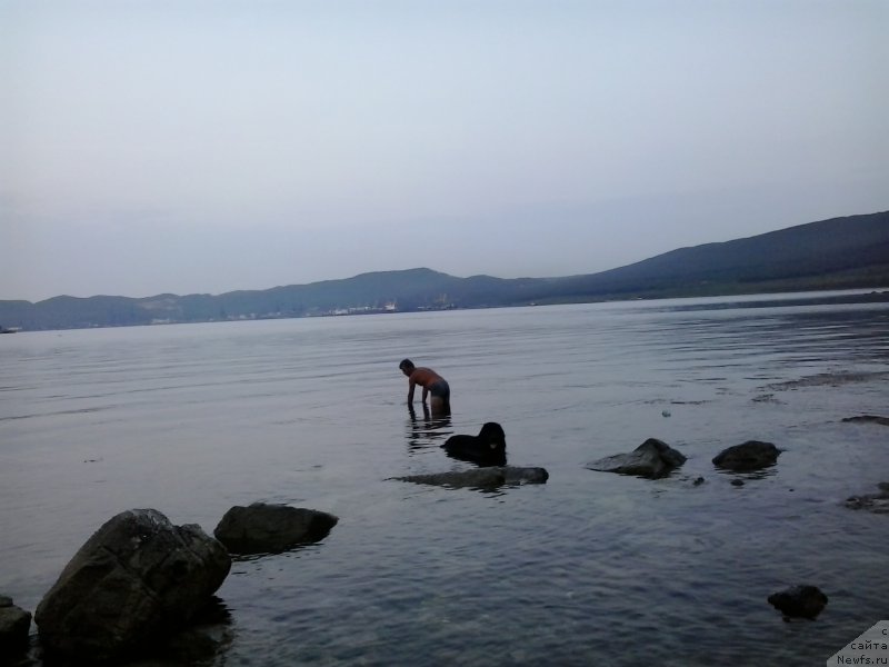 Фотография № 185081