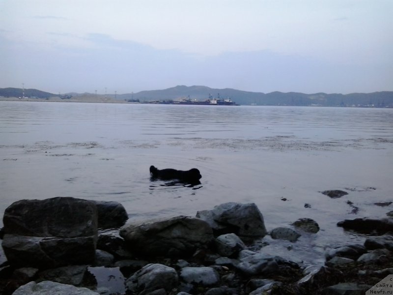 Фотография № 185082