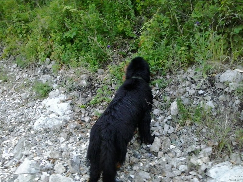 Фотография № 185084