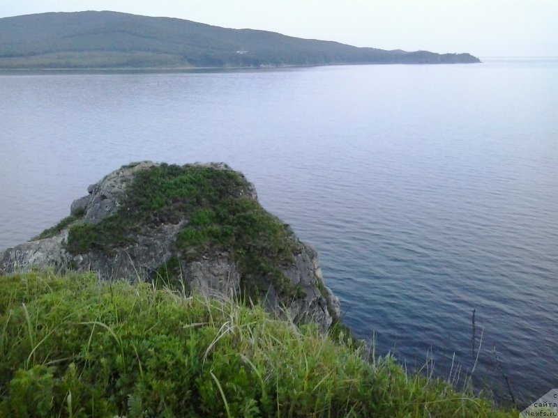 Фотография № 185086