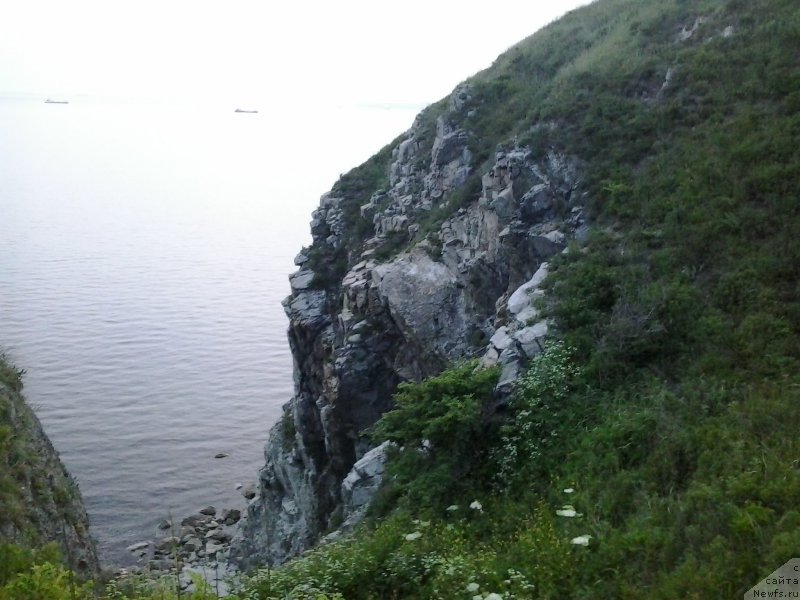 Фотография № 185088