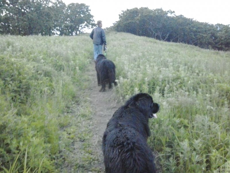 Фотография № 185090