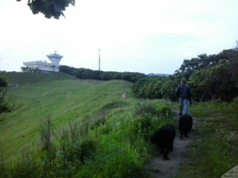 Фотография № 185091