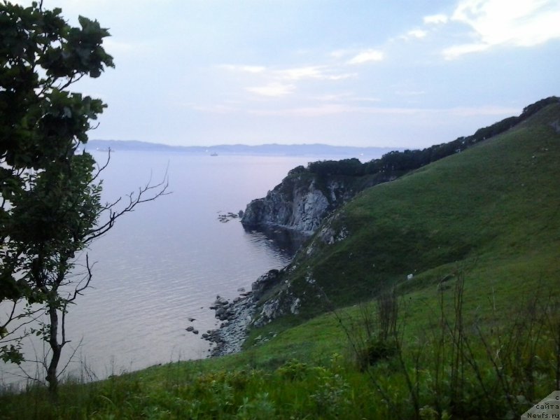 Фотография № 185092