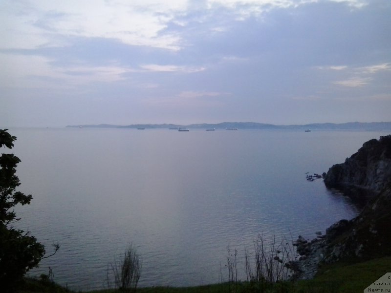 Фотография № 185093