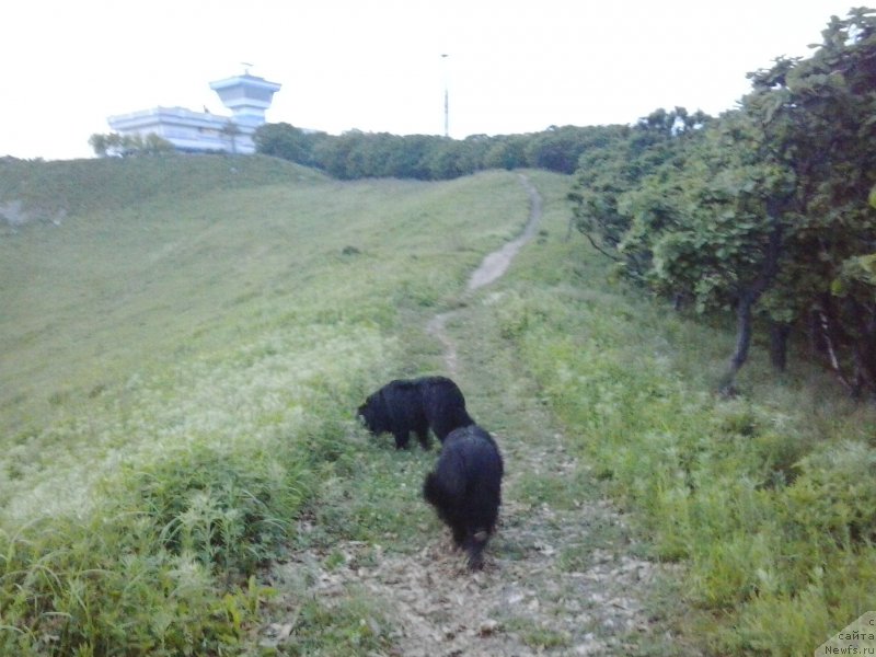 Фотография № 185094