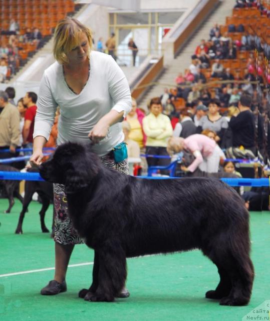 Фотография № 18510