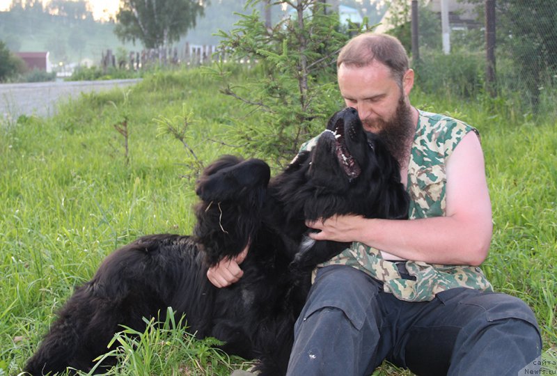 Фотография № 185100