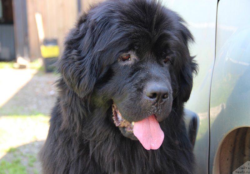 Фотография № 185104