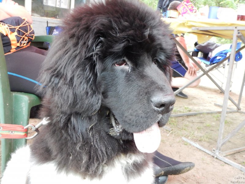 Фото: Anastasiya Kiseleva (Анастасия Киселева)