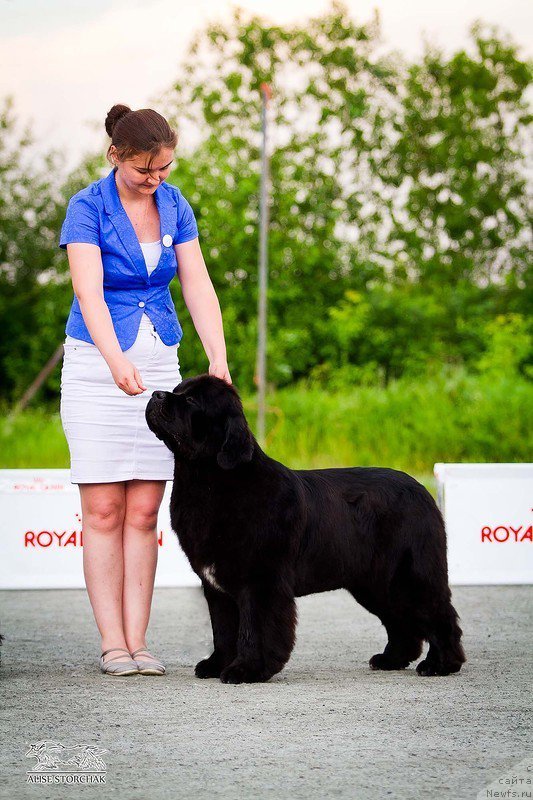 Фотография № 185132