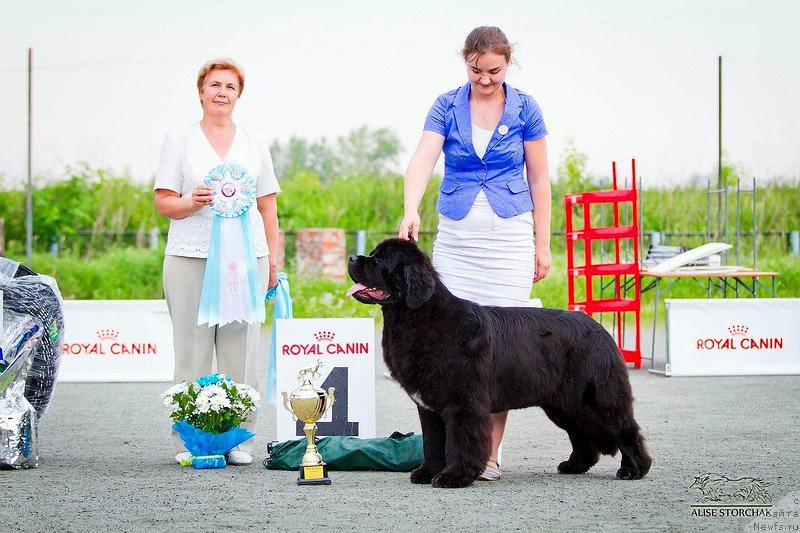 Фотография № 185137