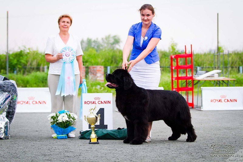 Фотография № 185138