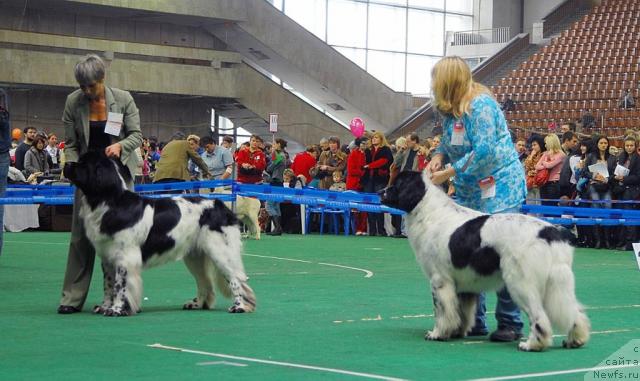 Фотография № 18516