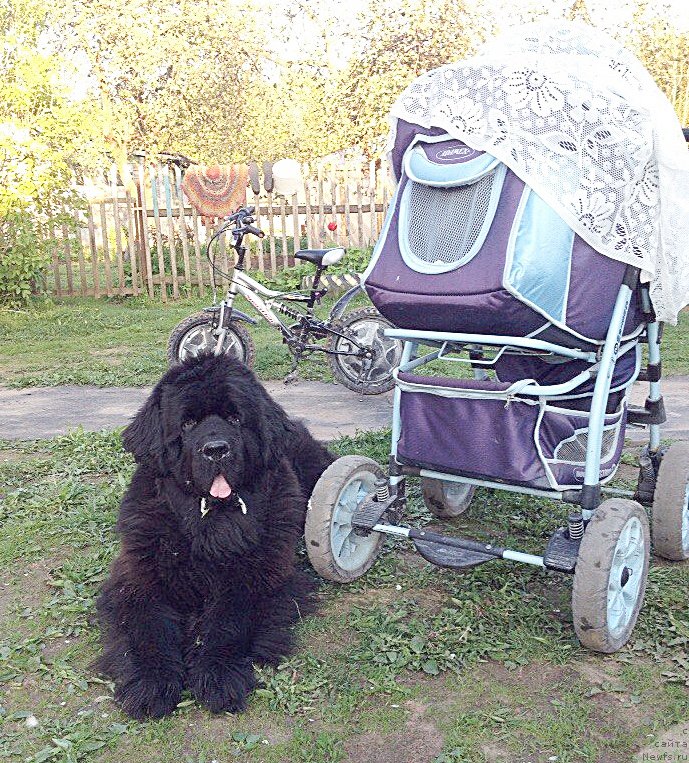 Фотография № 185160