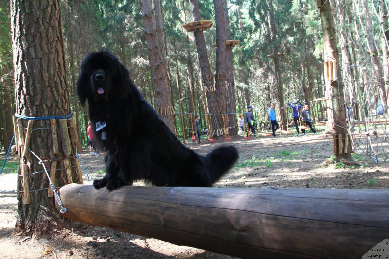 Фотография № 185173