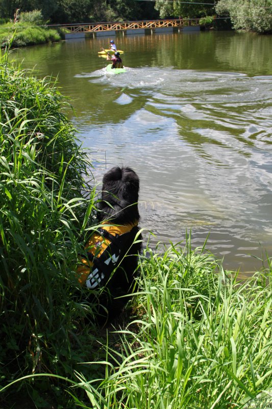 Фотография № 185178