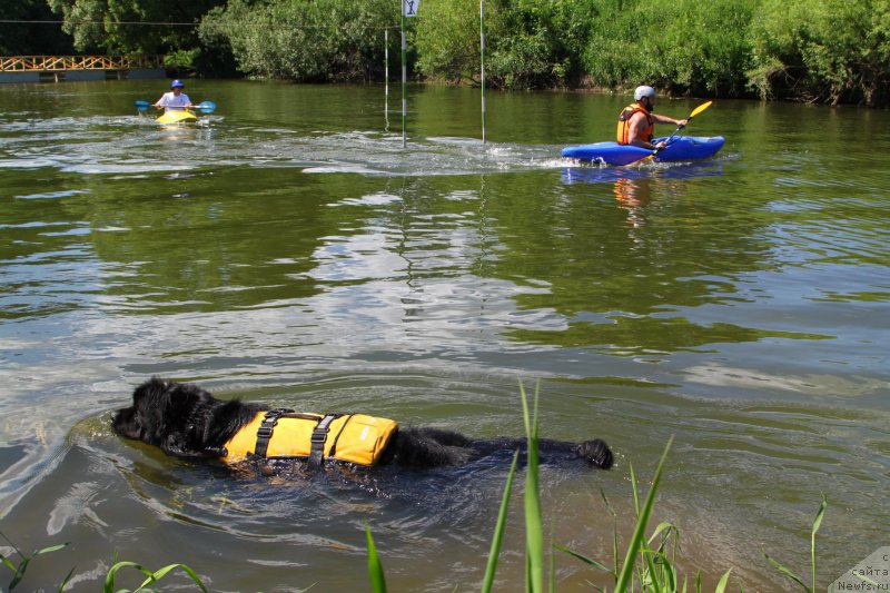 Фотография № 185179