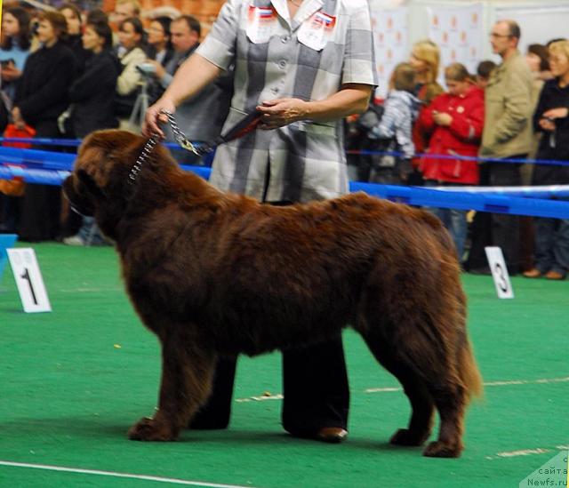 Фотография № 18518