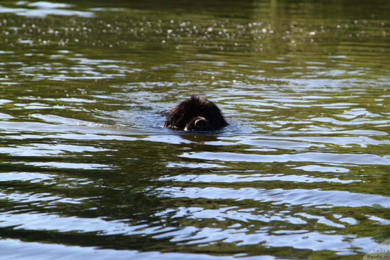 Фотография № 185180