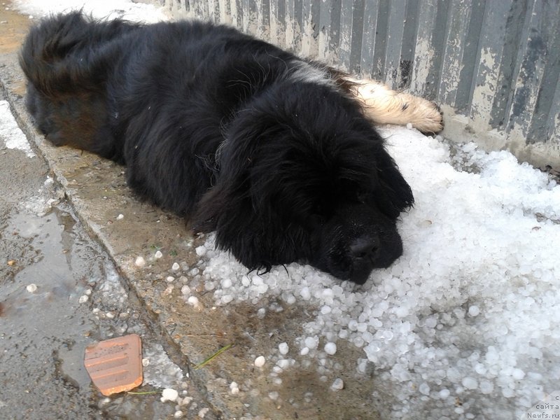 Фотография № 185202