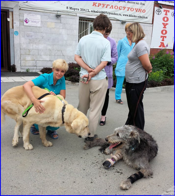 Фотография № 185215