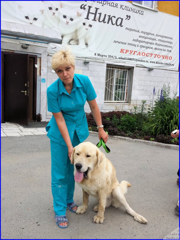 Фотография № 185217