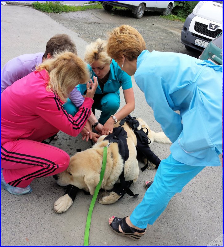 Фотография № 185218