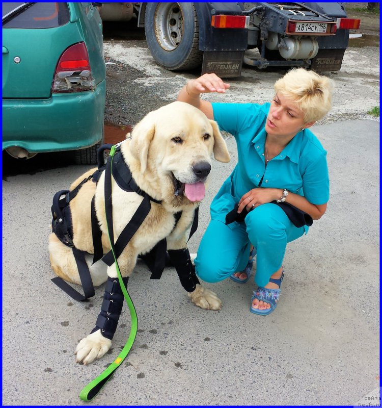 Фотография № 185222